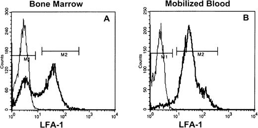 Fig. 1. LFA-1 fluorescence histograms of steady state bone marrow (A) or cytokine (G-CSF and IL-8)–mobilized blood MNC (B). The LFA-1neg cell fraction comprised 40% to 60% and 5% to 10% of appropriately gated MNC from bone marrow and blood, respectively.