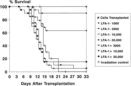 Fig. 4. Survival of lethally irradiated (8.75 Gy) recipient mice for at least 4 weeks after transplantation of increasing numbers of LFA-1neg and LFA-1pos sorted bone marrow MNC. Survival data are expressed as absolute percentages of two experiments with 10 mice transplanted per group in each experiment.