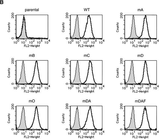 Fig. 1. Expression of mutant G-CSF-Rs in Ba/F3 cells. (A) Schematic representation of G-CSF-R proteins. Boxes 1 and 2 denote subdomains conserved in members of the hematopoietin receptor superfamily. Y, tyrosine; F, phenylalanine. (B) Flow cytometric analysis of G-CSF-R expression on parental Ba/F3 cells and Ba/F3 transfectants. Cells were either stained with biotinylated mouse anti-human G-CSF-R antibodies, followed by PE-conjugated streptavidin, biotinylated anti-streptavidin, and finally PE-conjugated streptavidin (unfilled), or without the anti–G-CSF-R step (filled).