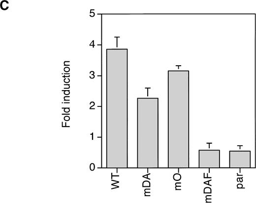 Fig. 5. Properties of tyrosine-dependent and -independent pathways of STAT3 activation. (A) Sensitivity of STAT3 activation to the Jak2 inhibitor AG-490 from WT, mDA, and mO G-CSF-Rs. Cells were starved as described in the presence (+) or absence (−) of AG-490 before stimulation for 10 minutes with (+) or without (−) G-CSF. To aid the interpretation of the result, exposures were adjusted so that G-CSF–treated samples were approximately equal. (B) Kinetics of STAT3 activation in Ba/F3 cells expressing WT, mDA, and mO G-CSF-Rs. Serum- and growth factor–deprived cells were incubated with 100 ng/mL G-CSF for the times indicated. Nuclear extracts were prepared and incubated with 32P-labeled double-stranded m67 oligonucleotide. (C) Transactivation of STAT3(m67)-luciferase reporter by parental Ba/F3 cells (par), or Ba/F3 cells expressing WT or mutant G-CSF-Rs. Luciferase activity was assayed after incubation of cells from the same transfection with either G-CSF or IL-3. Activity is expressed as fold induction by G-CSF compared with by IL-3 to standardize for transfection efficiency of the reporter construct. Data represent the mean of at least three independent analyses, with the standard error indicated.