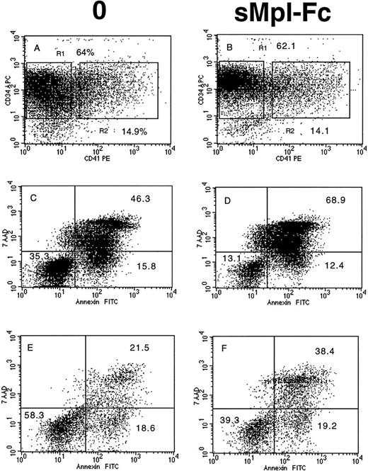 Fig. 5. Effects of the soluble receptor on apoptosis. CD34+ cells from 1 PMF patient (m2) were cultured without growth factor in the absence (A, C, and E) or the presence of the sMpl-Fc (B, D, and F). At day 4 of culture, cells were labeled by an APC-conjugated anti-CD34 MoAb and a R-PE–conjugated anti-CD41a MoAb. They were subsequently stained by Annexin-FITC and 7AAD. CD34+CD41− (R1) and CD34+CD41+ (R2) were gated only on the fluorescence labeling without taking into account their scatter properties. 7AAD and Annexin binding was studied in the gate R1 (C and D) and in the gate R2 (E and F). Early and late apoptosis correspond to the low right quadrant (AnnexinV+7AAD−) and the up right quadrant (AnnexinV+7AAD+), respectively. Similar results were obtained with cells of two other patients.