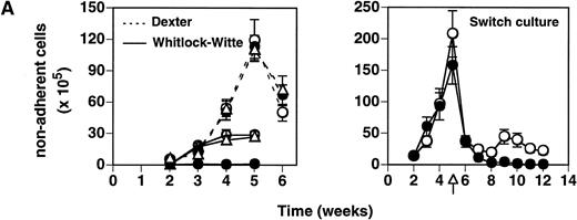 Fig. 1. Effect of heparin on lymphopoiesis and myelopoiesis in LTBMCs. (A, left) WBM cells were seeded using lymphoid-supportive (solid line) or myeloid-supportive (dashed line) conditions as described in Experimental Procedures. Heparin (•; 50 μg/mL), chondroitin sulfate (▵; 50 μg/mL), or vehicle (○) was added weekly beginning at culture initiation. (Right) LTBMCs cultured under myeloid-permissive conditions for 5 weeks were switched (arrow) to lymphoid-permissive conditions. Heparin (50 μg/mL) or vehicle was added weekly throughout the entire assay. (B) LTBMCs maintained under lymphoid-supportive conditions were cultured in the absence (left) or presence (right) of 25 μg/mL heparin for 6 weeks. Original magnification × 100. (C) Lymphoid-permissive LTBMCs were established for 4 to 6 weeks in the absence of treatment and then treated weekly with 50 μg/mL heparin or vehicle. The data are presented relative to the number of lymphocytes recovered from flasks receiving vehicle alone and results from three independent experiments are shown.