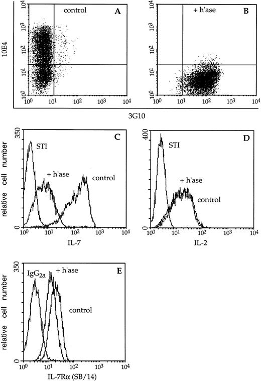 Fig. 3. Immunofluorescence analysis of cytokine binding to lymphocyte cell-surface HS. (A) Mock- (control) or (B) heparitinase-digested (+ h’ase) F10 cells were stained and analyzed by two-color flow cytometry. Biotinylated 10E4 (followed by streptavidin-red 613) recognizes native cell-surface HS while 3G10 (FITC) detects heparitinase-cleaved HS. (C) The capacity of these B-cell precursors to bind biotinylated IL-7 or the negative control reagent, biotinylated soybean trypsin inhibitor (STI), followed by avidin-fluorescein, was subsequently assessed. (D) Binding of biotinylated IL-2 to control or heparitinase-treated CTLL-2 cells; the binding profiles directly overlap. (E) Control or heparitinase-digested F10 lymphocytes were stained with an antibody to the IL-7 receptor chain (SB/14) or rat IgG2a followed by goat anti-rat Ig-FITC.
