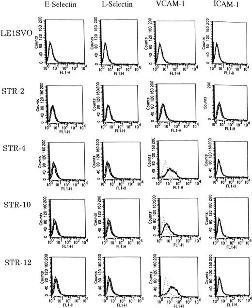 Fig. 3. Expression of adhesion molecules on LE1SVO and STR cell lines. (Dotted line), second antibody alone, (fine solid line), unstimulated, (solid line), stimulated with IL-1β.