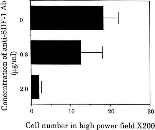 Fig. 4. Effects of anti–SDF-1 antibody on chemotactic activity. FDCP-2 cells were placed in the upper chambers of Transwell plates with or without anti–SDF-1 antibody at the indicated concentrations. Six hundred microliters of STR-2 cell-conditioned medium was placed in the lower chambers. After 4 hours of incubation, transmigrated cells into the lower chambers were counted under an inverted microscope. Results were shown as the mean ± SD of data obtained from three different experiments.