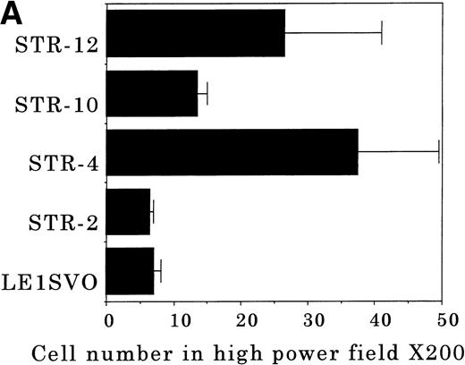 Fig. 6. Transendothelial migration of FDCP-2 cells. (A) Transmigration of FDCP-2 cells through LE1SVO and STR cell lines; (B) effects of anti–VLA-4 and anti–VCAM-1 antibodies on the transmigration of FDCP-2 cells through STR-4 cells; (C) adhesion of FDCP-2 cells to STR-4 cells; (D) effects of anti–SDF-1 antibody on the transmigration of FDCP-2 cells through STR-4 cells. Results were shown as the mean ± SD of data obtained from three different experiments. *P < .01.