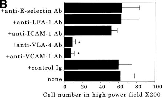 Fig. 6. Transendothelial migration of FDCP-2 cells. (A) Transmigration of FDCP-2 cells through LE1SVO and STR cell lines; (B) effects of anti–VLA-4 and anti–VCAM-1 antibodies on the transmigration of FDCP-2 cells through STR-4 cells; (C) adhesion of FDCP-2 cells to STR-4 cells; (D) effects of anti–SDF-1 antibody on the transmigration of FDCP-2 cells through STR-4 cells. Results were shown as the mean ± SD of data obtained from three different experiments. *P < .01.