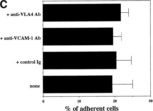 Fig. 6. Transendothelial migration of FDCP-2 cells. (A) Transmigration of FDCP-2 cells through LE1SVO and STR cell lines; (B) effects of anti–VLA-4 and anti–VCAM-1 antibodies on the transmigration of FDCP-2 cells through STR-4 cells; (C) adhesion of FDCP-2 cells to STR-4 cells; (D) effects of anti–SDF-1 antibody on the transmigration of FDCP-2 cells through STR-4 cells. Results were shown as the mean ± SD of data obtained from three different experiments. *P < .01.