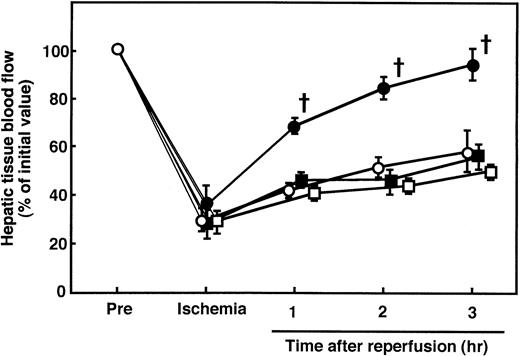 Fig. 4. Effects of AT, DEGR-Xa, and Trp49-modified AT on the changes in hepatic tissue blood flow in rats subjected to hepatic I/R. Animals were subjected to 60 minutes of hepatic ischemia followed by reperfusion as described in Materials and Methods. Animals were injected IV with AT (250 U/kg), DEGR-Xa (3 mg/kg), or Trp49-modified AT (250 U/g) at 30 minutes before reperfusion. Hepatic tissue blood flow was continuously measured by a laser Doppler flowmeter starting 30 minutes before ischemia until 3 hours after reperfusion. Each value represents the mean ± SD derived from 5 animals. (○) I/R animals; (•) AT-treated I/R animals; (▪) DEGR-Xa-treated I/R animals; (□) Trp49-modified AT-treated animals. †P < .01 versus I/R. ‡P< .01 versus AT-treated I/R.