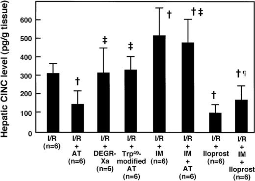 Fig. 6. Effects of AT and various agents on the I/R-induced increase in hepatic CINC levels 2 hours after reperfusion. Animals were subjected to 60 minutes of hepatic ischemia followed by reperfusion as described in Materials and Methods. Mean values of the hepatic CINC levels after 2 hours of hepatic reperfusion are shown. Data represent the mean ± SD. †P < .01 versus I/R. ‡P < .01 versus AT-treated I/R. ¶P < .01 versus IM-treated I/R.