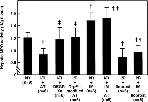 Fig. 7. Effects of AT and various agents on the I/R-induced increase in hepatic MPO activity 6 hours after reperfusion. Animals were subjected to 60 minutes of hepatic ischemia followed by reperfusion as described in Materials and Methods. Mean values of hepatic MPO activity after 6 hours of hepatic reperfusion are shown. Data represent the mean ± SD. †P < .01 versus I/R. ‡P < .01 versus AT-treated I/R. ¶P < .01 versus IM-treated I/R.