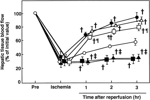 Fig. 8. Effects of IM pretreatment and continuously infused iloprost on I/R-induced changes in hepatic tissue blood flow in rats receiving AT. Animals were subjected to 60 minutes of hepatic ischemia followed by reperfusion as described in Materials and Methods. Animals were injected IV with AT (250 U/kg) 30 minutes before reperfusion or subcutaneously with IM (20 mg/kg) 30 minutes before ischemia. Iloprost was infused continuously starting before the onset of ischemia at a rate of 100 ng/kg/min with or without subcutaneous injection of IM (20 mg/kg) 30 minutes before ischemia. Hepatic tissue blood flow was continuously measured by laser Doppler flowmeter starting 30 minutes before ischemia until 3 hours after reperfusion. Each value represents the mean ± SD derived from 5 animals. (○) I/R animals; (▪) IM-treated I/R animals; (•) AT-treated I/R animals; (▴) AT-treated I/R animals pretreated with IM; (▵) iloprost-treated I/R animals; (□) iloprost-treated I/R animals pretreated with IM. †P< .01 versus I/R. ‡P < .01 versus AT-treated I/R. ¶P < .01 versus IM-treated I/R.
