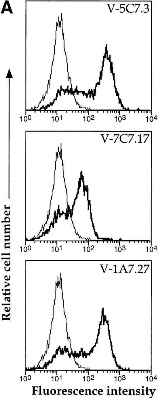 Fig. 5. Transfection of COS-7 cells with the novel cDNA confers reactivity to MoAbs V.1A7, V.5C7, and V.7C7. (A) COS-7 cells were transfected with the plasmid clones DW-5C7.3, DW-7C7.17, and DW-1A7.27 by the DEAE-dextran method. After 48 hours, the cells were detached and incubated with saturating levels of the respective MoAbs (thick line) or the control MoAb MRC OX86 (thin line), followed by a second incubation with fluorescein-conjugated goat antirat Ig antibody. Antibody binding was measured by flow cytometry. (B) Mock-transfected COS-7 cells (lane 1) or COS-7 cells transfected with the cDNA clone DW-7C7.17 (lane 2) were surface biotinylated and subjected to immunoprecipitation with MoAb V.5C7. Specifically bound proteins were analyzed and detected as described for Fig 1A. Molecular mass markers (in kilodaltons) are indicated on the left.