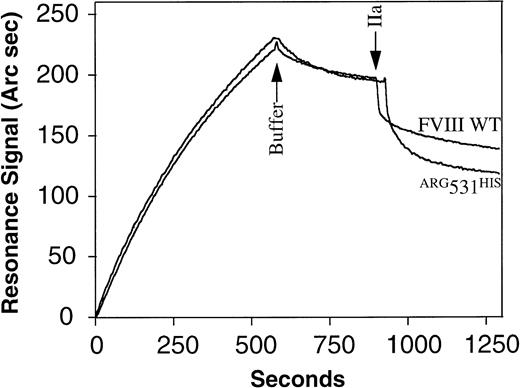 Fig. 5. Determination of the kinetic parameters for nonproteolytic and thrombin-mediated dissociation of FVIII WT andARG531HIS from MoAb ESH8. MoAb ESH8 was covalently immobilized to a biosensor chip at 20 ng/mm2. FVIII WT or ARG531HIS (2.5 nmol/L) were bound to ESH8 at 1.12 ng/mm2. A resonance response of 200 Arc seconds corresponds to 1 ng of protein bound per square millimeter of the biosensor chip surface. The kinetics of FVIII WT orARG531HIS nonproteolytic dissociation from ESH8 was recorded after replacement of the ligand by dissociation buffer (at arrow). At the second arrow, thrombin (1 U/mL) was added and thrombin-mediated dissociation of the A2 subunit from immobilized dimers was followed. The koff values for nonproteolytic and thrombin-mediated dissociation were derived from dissociation kinetic curves as described under Materials and Methods.