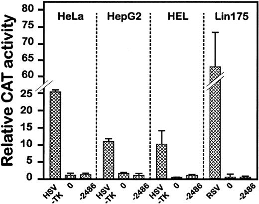 Fig. 2. Expression of the VE-cadherin −2486CAT fusion gene in various cell lines. Construct −2486CAT and pGL3 plasmid were cotransfected in cells of epithelial (HeLa), hepatocytic (HepG2), or erythro-megakaryocytic origin (HEL and Lin175). The HSVTK (see Fig 1) or the Rous sarcoma virus (RSV) promoters was used as positive control. CAT activities were determined with the equivalent of 150, 3,000, 600, or 200 light units of extracts from HeLa, HepG2, HEL, or Lin175, respectively. Data are the average of 3 independent experiments.