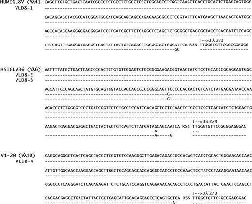 Fig. 2. Nucleotide sequences of variable regions of new λ light chains expressed in HTD8 subclones. Nucleotide sequences of the variable regions of the light chains expressed in HTD8 subclones (D8-1, D8-2, D8-3, and D8-4) are shown in a 5′ to 3′ direction. VLD8-1, VLD8-2, VLD8-3, and VLD8-4 represents the λ light chain genes expressed by the subclones of HTD8. Sequences are compared with the corresponding germ-line Vλ (HUMIGL8V, HSIGLV36, and V1-20) and Jλ2/3 sequences. Designations in brackets indicate their corresponding Vλ gene family. Dashes sequence identity with the germline genes. Dots indicate where gaps have been introduced to maximize homology.