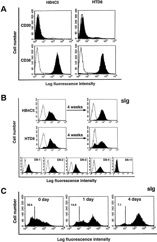 Fig. 6. Flow cytometric analysis of CD20, CD38, and surface Ig expression. HB4C5 cells, HTD8 bulk population, and the new light chain expressing HTD8 subclones (D8-1, D8-2, D8-3, D8-4, and D8-11) were stained with FITC-conjugated anti-human CD20, CD38, or Ig antibodies and analyzed by flow cytometry (shaded histogram). The negative control was established using an irrelevant FITC-conjugated antibody of the same isotype (clear histogram). The fluorescence intensity is shown on the x-axis and the cell number on the y-axis. HB4C5 and HTD8 cells were examined for CD20 and CD38 expression (A). Presence of sIg was assessed for bulk population HB4C5 and HTD8 cells, the same cells after a 4-week culture, as well as for the HTD8 subclones (B). After isolating sIg− HTD8 cells, these cells were examined for sIg expression at day 0, 1, and 4 of culture using FITC-conjugated anti-human μ antibody (C). Numbers in the upper left corners indicate the percentage of cells that are stained negative.