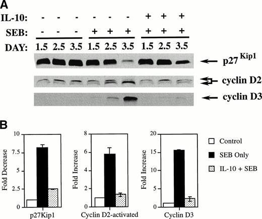 Fig. 2. IL-10 inhibits the SEB reduction of p27Kip1and prevents SEB-induced upregulation of cyclins D2 and D3 in CD4+ T cells. (A) PBMCs were incubated in 6-well plates at 6 × 105 cells/mL along with IL-10 at 10 U/mL or media only. After 2 days of incubation, media alone or SEB at 100 pg/mL was added. The cells were further incubated until the indicated harvest day. Cells were harvested and CD4+ T cells were separated and collected by negative selection affinity chromatography. Lysates from these cells were subjected to SDS-polyacrylamide gel electrophoresis (SDS-PAGE) and Western analysis using antibodies specific for p27Kip1, cyclin D2, and cyclin D3. The lower band in the cyclin D2 doublet represents the faster-migrating activated form of cyclin D2. (B) Quantitation was performed by densitometric analysis of bands from day 3.5. The differences between SEB treatment and treatment with IL-10 and SEB were found to be statistically significant for all immunoblots (P < .001) by the Student’s t-test.