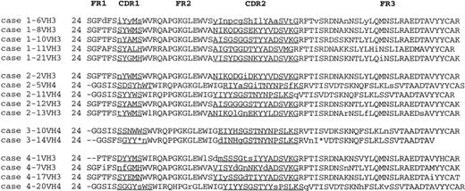 Fig. 1. Deduced VH protein sequences of monocytoid B cells. Lowercase letters indicate replacement mutations with regard to the germline sequences. These sequence data are available from the European Molecular Biology Laboratory (EMBL) under accession numbers AJ 227721 to 227725, AJ 227727, AJ 227728, AJ 227729, AJ 227730, AJ227745, AJ 227726, AJ 227750, AJ 227738, AJ 227741, AJ 227751, AJ 227749, respectively. FR, framework; CDR, complementarity determining region; *, stop codon.
