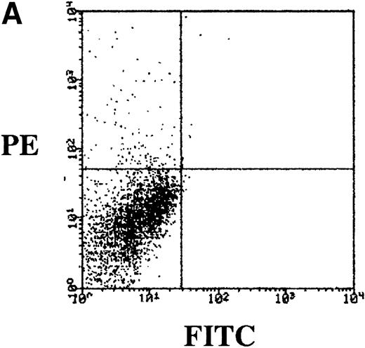 Fig. 1. Dot-plots showing the isotype controls (A) and expression of the - (B) and β-chain (C) by the 5T2 MM cells. This experiment is representative of three independent experiments.