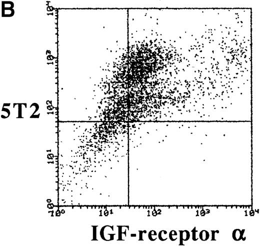 Fig. 1. Dot-plots showing the isotype controls (A) and expression of the - (B) and β-chain (C) by the 5T2 MM cells. This experiment is representative of three independent experiments.