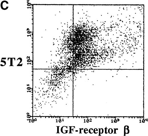 Fig. 1. Dot-plots showing the isotype controls (A) and expression of the - (B) and β-chain (C) by the 5T2 MM cells. This experiment is representative of three independent experiments.