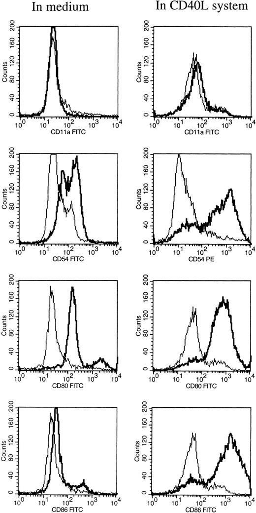 Fig. 1. FACS analysis of HCL cells after 6 days of culture in medium alone (left), and in the CD40L system (right). The expression of CD11a, CD54, CD80, and CD86 are shown by a thick black line, and the isotype control is shown by a thin line.