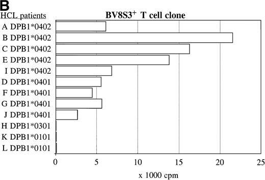 Fig. 5. The recognition of the HCL cells by the BV2+ and the BV8S3+ T-cell clones was restricted by HLA-DQA1*03/DQB1*0301 and HLA-DPB1*04, respectively. Panel studies were performed to further determine the restriction of recognition of the HCL cells by the T-cell clones. Proliferation of the BV2+ T-cell clones 4F10 and 1F2 (A) and the BV8S3+ T-cell clone (B) in response to HCL cells from different patients are shown.
