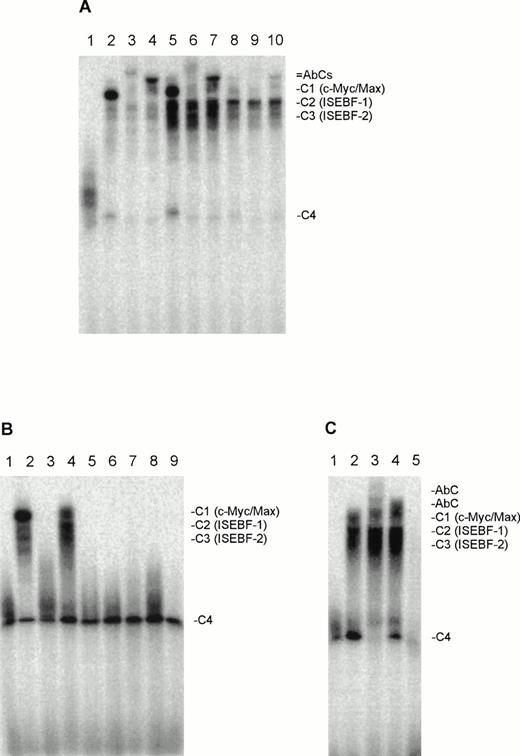 Fig. 1. (A) Nuclear extracts of the CTCL cell lines HUT78, MyLa, and SeAx contain myc-oligo binding activities, which include c-Myc and Max. Lane 1, peripheral blood lymphocytes; lanes 2 through 4, HUT78 nuclear extracts; lanes 5 through 7, MyLa nuclear extracts; lanes 8 through 10, SeAx nuclear extracts. Lanes 3, 6, and 9, coincubation with Max antibody; lanes 4, 7, and 10, coincubation with c-Myc antibody. (B) Myc-oligo binding activities in the nuclear extracts of malignant cells of seven SS patients (lanes 3 to 9). Lane 1, peripheral blood lymphocytes (negative control); lane 2, nuclear extract from HUT78 cells (positive control). (C) The myc-oligo–binding activities of patient 2 contain c-Myc and Max. Lane 1, peripheral blood lymphocytes (negative control); lane 2, nuclear extract without antibody; lane 3, nuclear extract with Max antibody; lane 4, nuclear extract with c-Myc antibody; lane 5, competition experiment with a 100-fold excess of unlabeled myc-oligo in the absence of antibodies. The position of the complexes C1-C4 and the DNA-c-Myc/Max-antibody complexes (AbC) are indicated on the right.