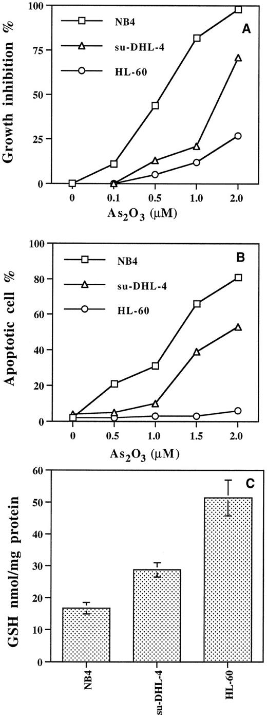 Fig. 1. Growth inhibition (A) and apoptosis (B) induced by As2O3 in NB4, su-DHL-4, and HL-60 cells, and basal GSH levels (C). Cells were treated with different concentrations of As2O3 for 3 days. Cell growth and apoptotic cell number were determined with fluorescence staining as described in Materials and Methods. Values are the mean of three independent experiments.