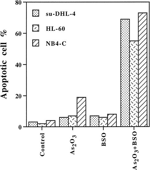 Fig. 3. BSO enhanced As2O3-induced apoptosis in NB4, su-DHL-4, and HL-60 cells. Cells were pretreated with BSO 100 μmol/L for 4 hours, then with or without As2O3 1 μmol/L for 12 hours. Values are the mean of three independent experiments.