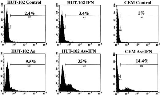 Fig. 3. TUNEL analysis of the HTLV-I–infected HUT-102 cell line and control cell line CEM treated or not with IFN (1,000 U/mL) and/or As (1 mmol/L) for 72 hours. Histogram analysis was achieved by setting a region for control cells and defining the region for positive TUNEL to include 2% of the normal cells. Statistics of positive TUNEL region are displayed for each histogram.