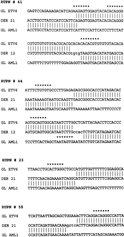 Fig. 6. Sequences flanking the breakpoints in four patients withETV6-AML1 rearrangements. RUPN refers to unique patient number. Sequences from the ETV6 germline (GL ETV6), AML1germline (GL AML1), and the two derivatives, derivative 12 (DER 12) and derivative 21 (DER 21), are shown. Nontemplated nucleotides are shown in lower case. Nucleotide sequences with at least a 5/7 match to the consensus V(D)J heptamer recognition sequence (CAC A/T GTG) are shown with asterisks.