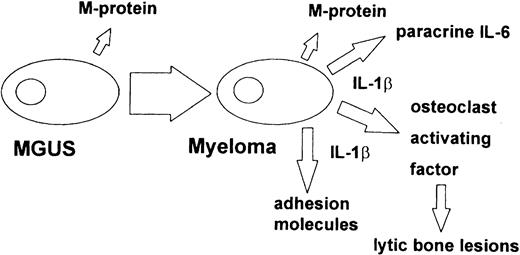 Fig. 5. The role of IL-1β in the progression of MGUS to myeloma.