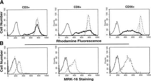 Fig. 1. Rhodamine efflux and MRK-16 staining in T-cell subsets. (A) Rhodamine efflux in isolated mononuclear cells from a normal patient. Blank histogram (solid line), cells incubated 30 minutes in media alone. Control histogram (dotted line), cells incubated 30 minutes in media with 0.5 μg/mL rhodamine 123. PSC/Efflux histogram (dashed line), cells incubated 30 minutes in media with 0.5 μg/mL rhodamine 123 and 3 μg/mL PSC 833, washed, and incubated in rhodamine-free media with 3 μg/mL PSC 833 for 60 minutes. Efflux histogram (heavy solid line), cells incubated 30 minutes in media with 0.5 μg/mL rhodamine 123, washed, and incubated in rhodamine-free medium for 60 minutes. Staining with the appropriate T-cell marker was performed with each sample. (B) MRK-16 staining of normal mononuclear cells. Blank histogram (solid line), unstained mononuclear cells. IgG Control histogram (dotted line), cells incubated with mouse IgG1, stained with FITC-labeled horse anti-mouse antibody, then stained with the appropriate PE-labeled T-cell antibody. MRK-16 histogram (dashed line), cells were incubated in unlabeled MRK-16 antibody for 30 minutes, stained with FITC-labeled horse anti-mouse, and subsequently labeled with the desired PE-labeled T-cell marker.