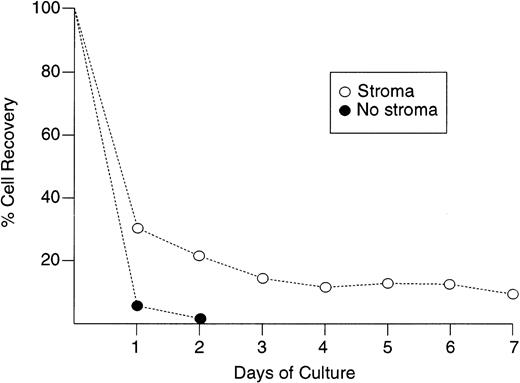 Fig. 3. Kinetics of cell recovery during culture with and without stroma in one case of hyperdiploid ALL (55 chromosomes). Numbers of leukemic lymphoblasts before and after culture were counted by flow cytometry as described in Materials and Methods. Each point indicate the means of two measurements.