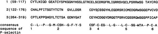Fig. 7. Alignment of the SRPUL sushi repeat domains. The numbers to the left of each sequence indicate the first and last residue in each repeat, according to the SRPUL cDNA sequence deposited in Genbank (accession no. AF060567). The conserved cysteine residues are numbered from one to six. A consensus sequence derived from the P-selectin (GMP-140) consensus repeat domains is also shown.18