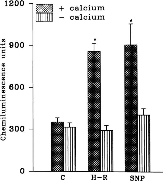 Fig. 4. (Top) AA (1 × 10−5 mol/L) stimulated chemiluminescence response in normoxic, H-R, or SNP (10 nmol/L) pretreated cells in the presence and absence of calcium. (Bottom) Intracellular calcium concentration in the normoxic (C), SNP (S, 10 nmol/L) pretreated, hypoxic (H), and reoxygenated (H-R) PMNLs. Alteration in the cell calcium levels was estimated in absence of Hb (left set) and in the presence of Hb (10 μmol/L, right set). *P < .05 and **P < .01 in comparison with the control.