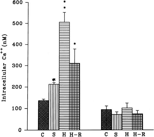 Fig. 4. (Top) AA (1 × 10−5 mol/L) stimulated chemiluminescence response in normoxic, H-R, or SNP (10 nmol/L) pretreated cells in the presence and absence of calcium. (Bottom) Intracellular calcium concentration in the normoxic (C), SNP (S, 10 nmol/L) pretreated, hypoxic (H), and reoxygenated (H-R) PMNLs. Alteration in the cell calcium levels was estimated in absence of Hb (left set) and in the presence of Hb (10 μmol/L, right set). *P < .05 and **P < .01 in comparison with the control.