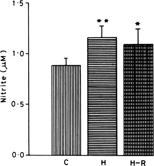 Fig. 5. Nitrite content in normoxic (C), hypoxic (H), and reoxygenated (H-R) cell suspensions. Nitrite was estimated in 5 × 107 cells after a 30-minute incubation at 37°C. *P < .01 in comparison with the control.