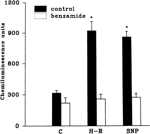 Fig. 6. (Top) Effect of Hb (10 μmol/L) pretreatment on the chemiluminescence response after H-R and SNP (10 nmol/L) pretreatment. (Bottom) Histogram representing effect of benzamide (2 × 10−3 mol/L) on the AA-induced chemiluminescence response of H-R and SNP pretreated PMNLs. *P < .01 in comparison with the control.