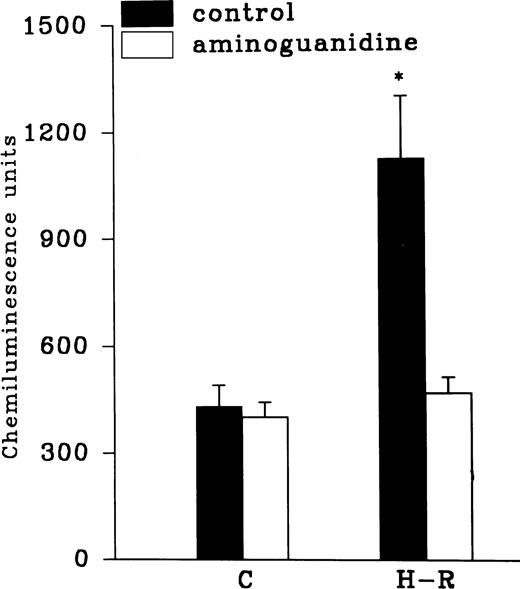 Fig. 7. Effect of felodipine (5 × 10−6 mol/L; top) or aminoguanidine (5 × 10−3 mol/L; bottom) on the H-R– or SNP-mediated increases in the free radical generation. *P < .01 in comparison with the control.