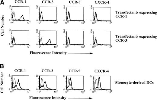 Fig. 1. Cell surface expressions of chemokine receptors in monocyte-derived DCs. (A) Chemokine receptors expression levels in the transfectants expressing CCR-1 or CCR-3. The transfectants were stained with anti–CCR-1 MoAbs, anti–CCR-3 MoAbs, biotin-conjugated anti–CXCR-4 MoAbs, or FITC-conjugated anti–CCR-5 MoAb (thick lines) or FITC-conjugated mouse Ig (thin lines) for 30 minutes at 4°C. In an indirect staining, the cells were subsequently stained with FITC-conjugated antimouse IgG or FITC-conjugated avidin for 30 minutes at 4°C. (B) Expression levels of chemokine receptors in monocyte-derived DCs. Monocyte-derived DCs were stained with MoAbs to the respective chemokine receptors as described above. The cell surface expression was analyzed by flow cytometry. The results are representative of three experiments performed with similar results.