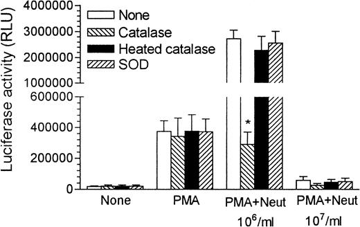 Fig. 3. Effect of catalase, heated catalase, or SOD on the activation of the LTR by neutrophils and PMA. The reaction mixture contained 2 × 106 Jurkat LTRlucand, where indicated, 100 ng/mL PMA, 106 or 107neutrophils/mL, 8.2 μg/mL catalase, 8.2 μg/mL heated catalase, or 1 μg/mL SOD in RPMI at a final volume of 2.0 mL. The results are the mean + SEM of three to six experiments, with the asterisk indicating a significant difference from the absence of catalase, heated catalase and SOD (P < .05).