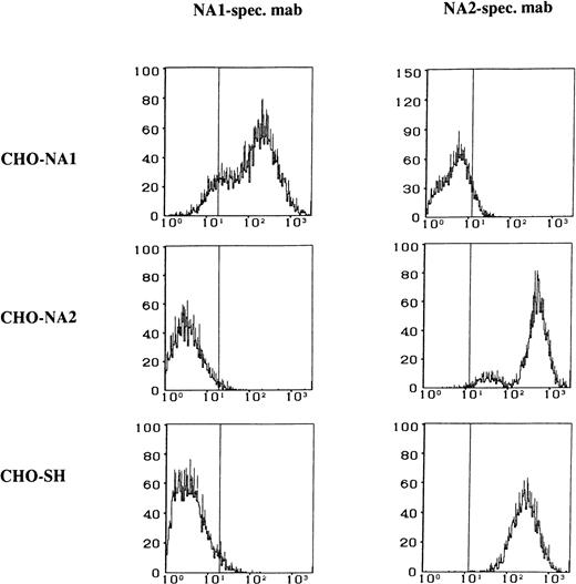 Fig. 2. Flow cytometry analysis of the stable CHO transfectants expressing FcγRIIIb NA1-, NA2-, and SH-isoforms. Paraformaldehyde-fixed CHO cells were stained either with NA1-specific MoAb CLB Gran 11 or with NA2-specific MoAb GRM 1, washed, and labeled with fluorescein-conjugated rabbit anti-mouse IgG.