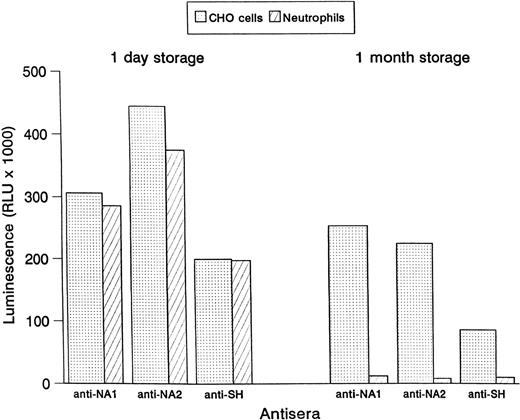 Fig. 4. Binding of human antisera to NA1-, NA2-, and SH-expressing CHO cells and human granulocytes. Reactivity in the MAIGA assay is shown after 1 day storage and 1 month storage at 4°C.