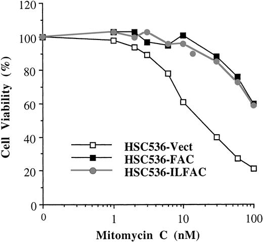 Fig. 2. Activity of His-ILFAC transgene in vivo. HSC536 lymphoblasts transfected with pDR2–His-ILFAC or pDR2-FAC were selected for stable expression of the episomal vectors by Hygromycin B, followed by analysis of their growth in the presence of MMC. Growth inhibition was measured by cell counting after 3 days (approximately 3 cell divisions) of continuous exposure to MMC and compared with untreated cells. The final cell count of untreated cultures was set at 100%. The mean values of duplicate sets of experiments are shown.