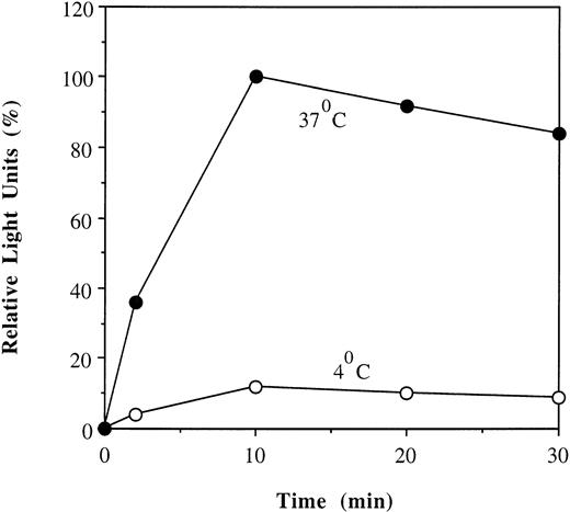 Fig. 5. Temperature-dependent uptake of His-ILFAC. HSC536 lymphoblasts were incubated with His-ILFAC for the indicated times at either 37°C or 4°C were lysed and analyzed by immunoblotting with anti-FAC antibody. Light units obtained by PhosphorImaging of the immunoblot are given as percentages of the value at 10 minutes (100%).