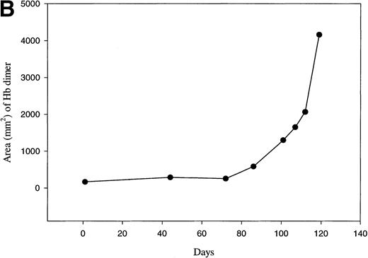 Fig. 2. Western blot analysis of globin deposition on the membranes of in vivo–aged biotinylated dog RBCs. Positive (biotinylated) RBCs were isolated from dog no. 5005 at the indicated times post-biotinylation by magnetic cell sorting. (A) Ghost membranes were prepared as described in the Materials and Methods. At the end of the study, membranes (20 μg) were electrophoresed, transferred to nitrocellulose, and analyzed for globin by immunoblotting as described in Materials and Methods. The lane marked Hb contains 5 μg of soluble Hb obtained from a dog RBC lysate. (B) Results of scanning densitometry of the dimeric globin band seen in the immunoblot in (A). The integrated area of the globin dimer band is plotted as a function of the minimum age of the biotinylated cells. A similar increase in membrane-bound globin appeared on the membranes of cells isolated from dog no. 1630 (data not shown).