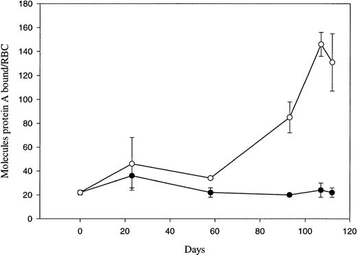 Fig. 4. IgG binding to in vivo–aged biotinylated dog RBCs. Positive (○) and negative (•) RBCs were isolated at the indicated times post-biotinylation by magnetic cell sorting. Isolated RBCs were incubated with 125I protein A and then washed five times before determining the number of protein A molecules per RBC. Each fraction was assayed in triplicate, and each point represents the mean ± 1 SD of two dogs. Day 0 data was obtained using RBCs collected just before the in vivo biotinylation.